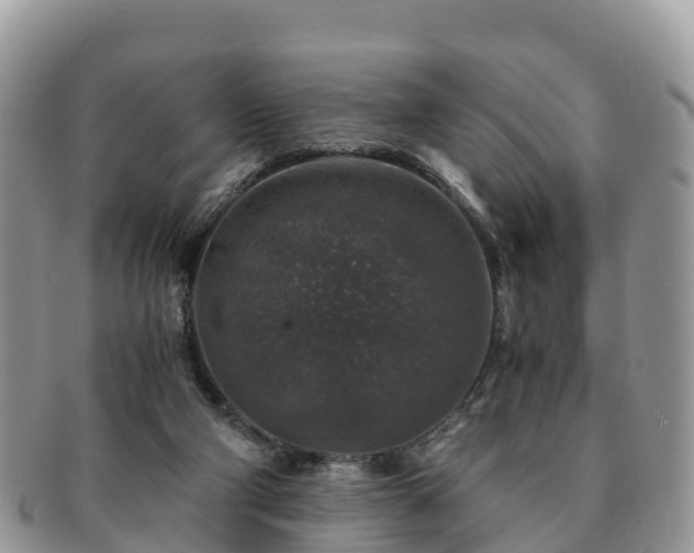 X0000091180114200708161525