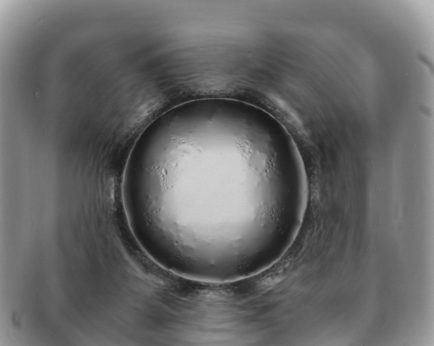 X0000091180115200708161525