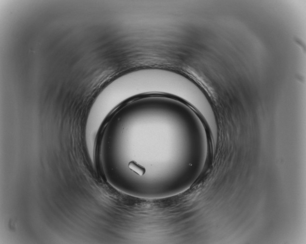 X0000091180117200708161525