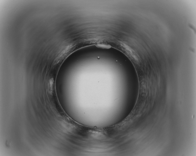 X0000091180118200708161525