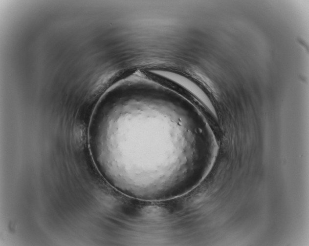 X0000091180119200708161525
