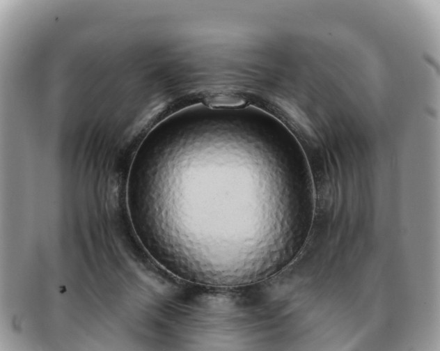 X0000091180120200708161525