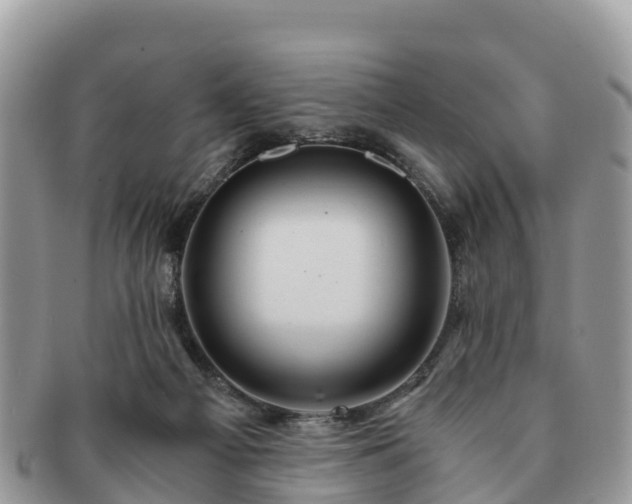 X0000091180121200708161525