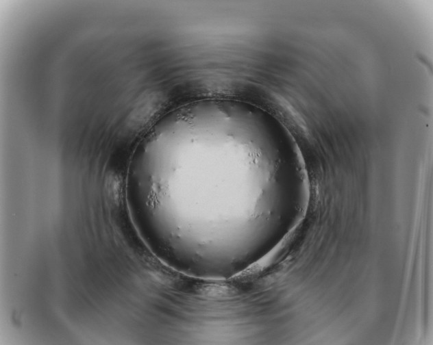 X0000091180123200708161525