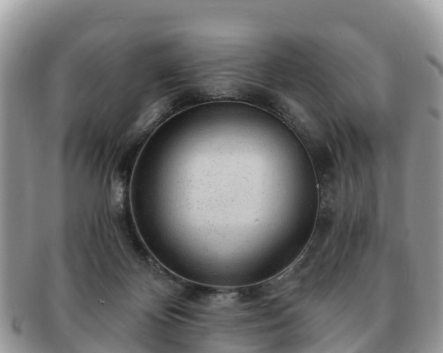 X0000091180124200708161525