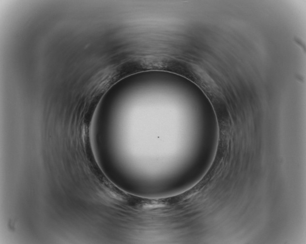 X0000091180125200708161525