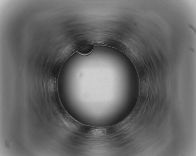 X0000091180126200708161525