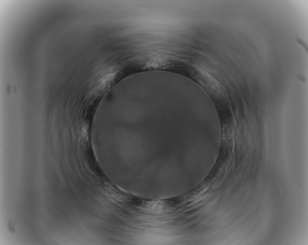 X0000091180127200708161525