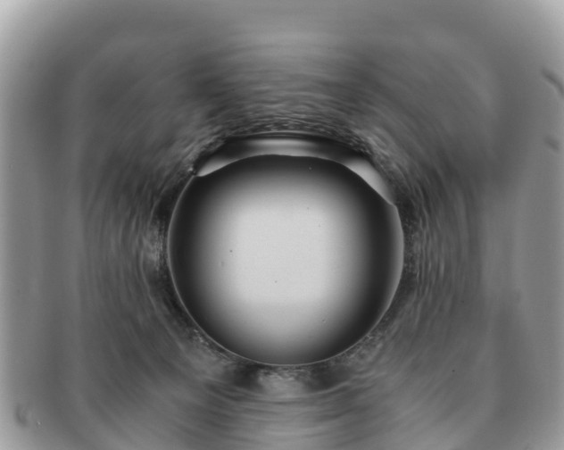 X0000091180129200708161525
