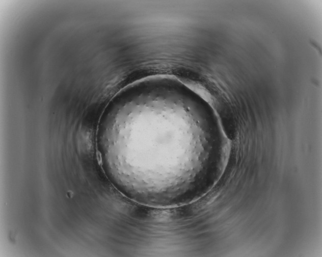 X0000091180131200708161525