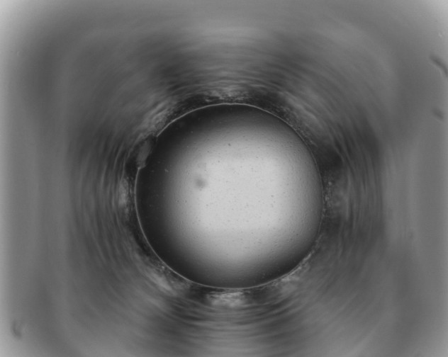 X0000091180132200708161525