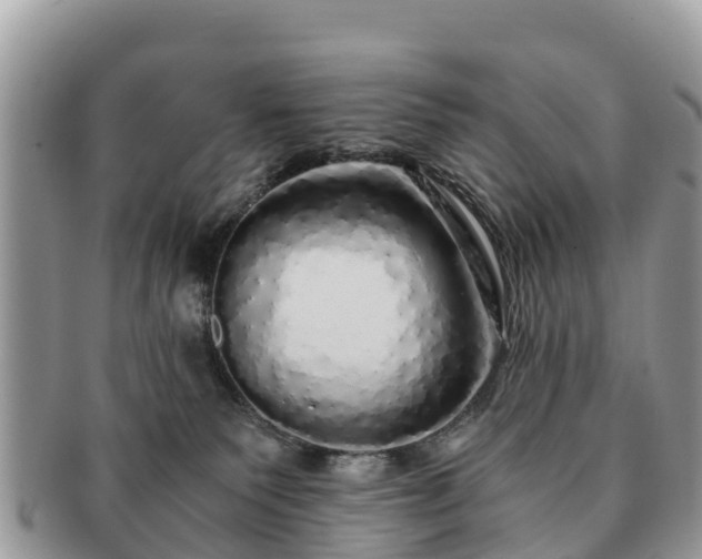 X0000091180135200708161525