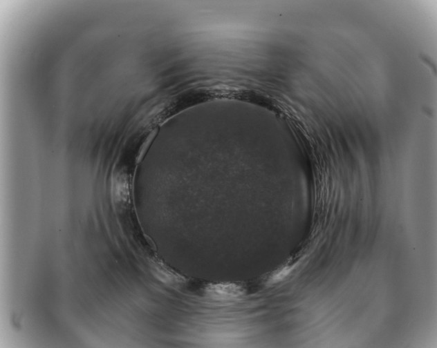 X0000091180137200708161525