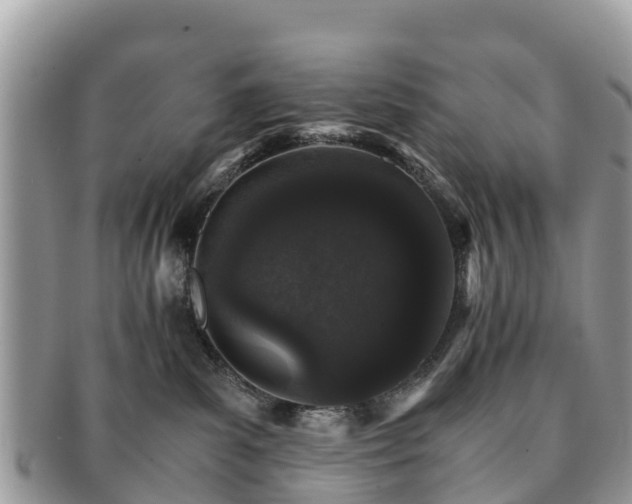 X0000091180139200708161525