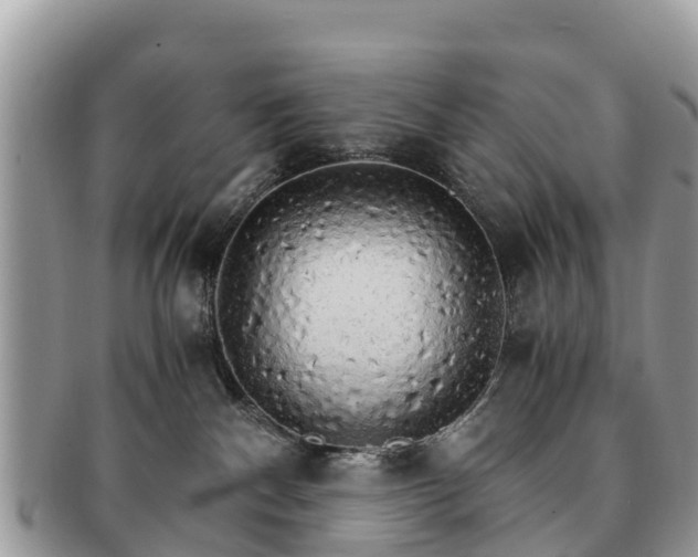 X0000091180140200708161525