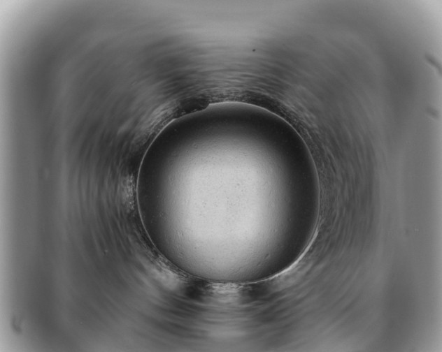 X0000091180144200708161525