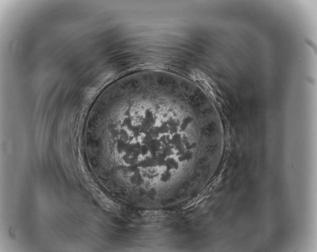 X0000091180145200708161524