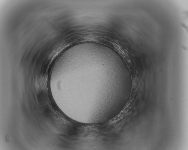 X0000091180146200708161524