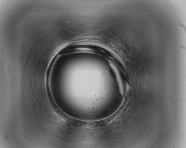 X0000091180148200708161524