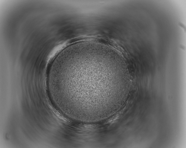 X0000091180149200708161524