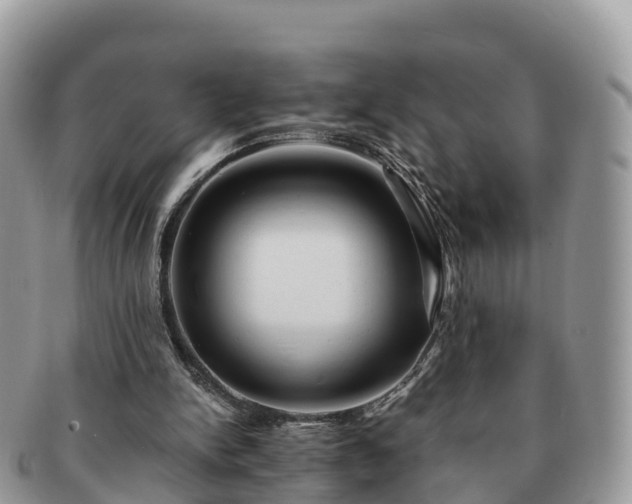 X0000091180150200708161524