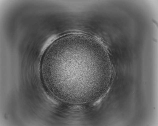 X0000091180151200708161524
