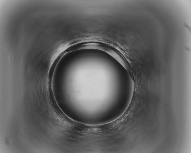 X0000091180152200708161524