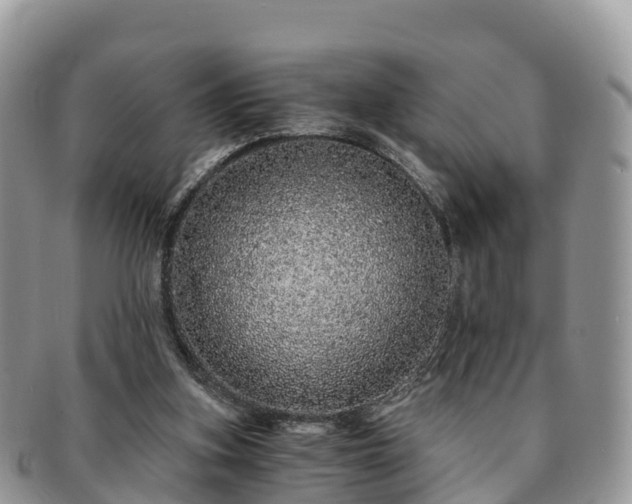X0000091180155200708161524