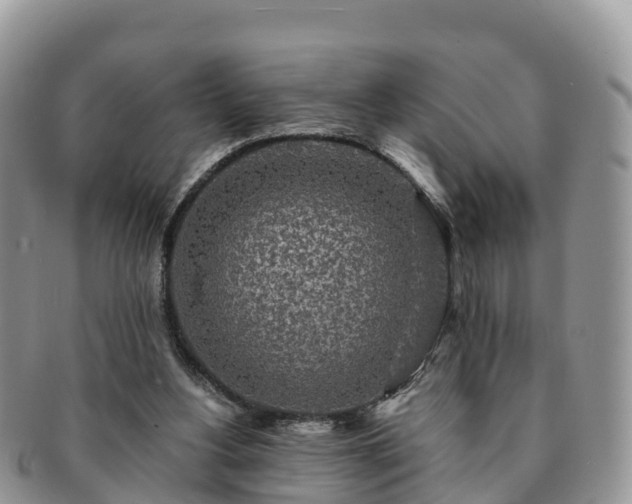 X0000091180156200708161524