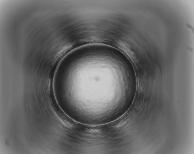 X0000091180157200708161524