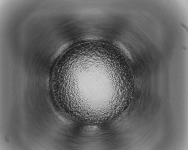 X0000091180159200708161524