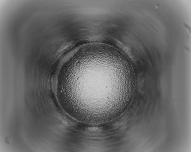 X0000091180161200708161524