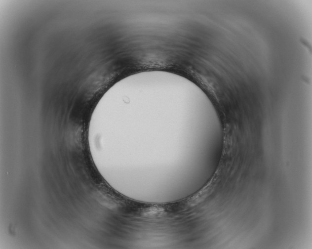 X0000091180162200708161524