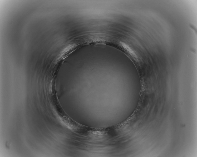 X0000091180163200708161525