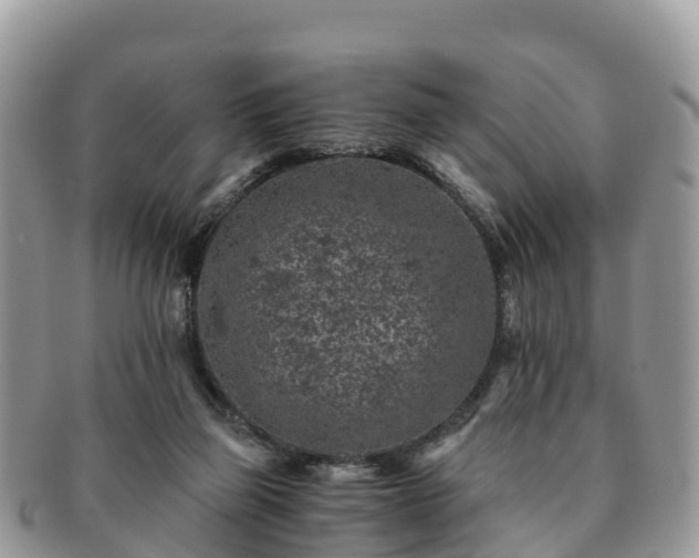 X0000091180165200708161525