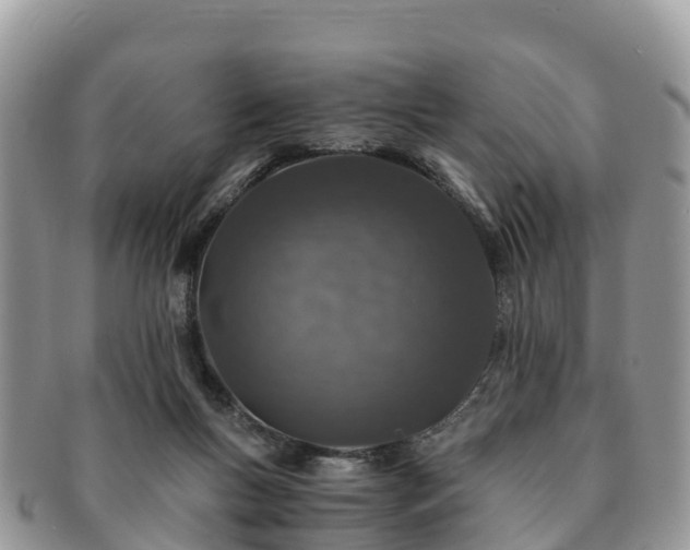X0000091180167200708161525