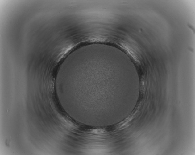X0000091180168200708161525