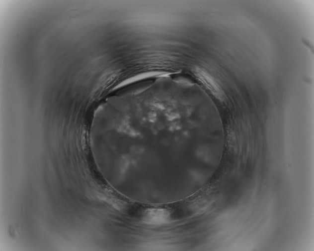 X0000091180169200708161525