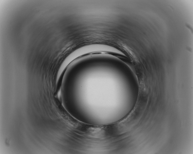 X0000091180170200708161525