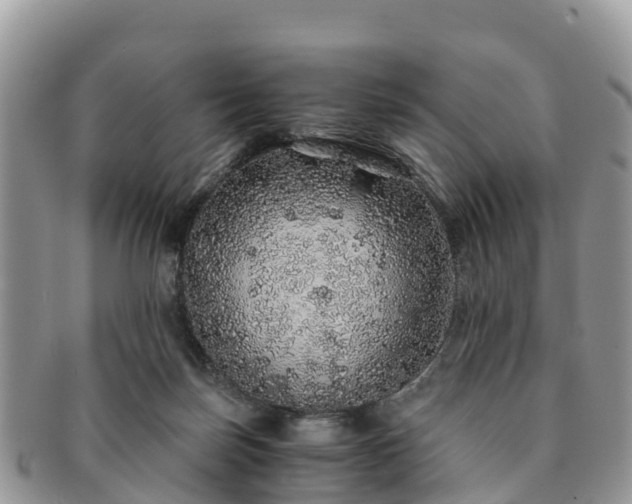 X0000091180171200708161525