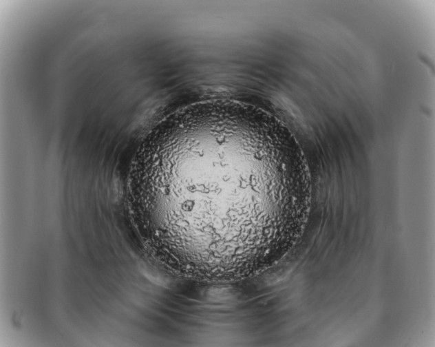 X0000091180173200708161525