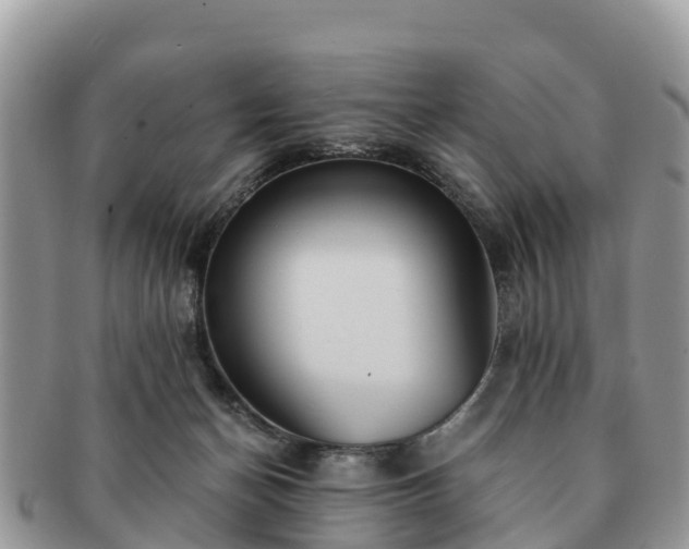 X0000091180174200708161525