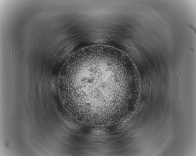X0000091180175200708161525