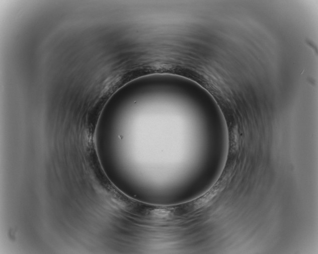 X0000091180176200708161525