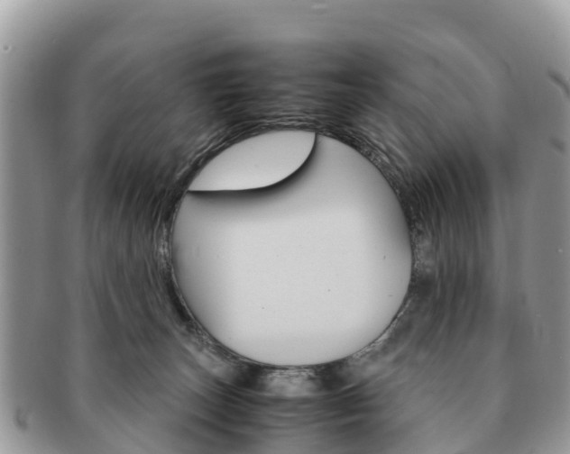 X0000091180179200708161525