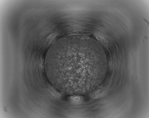 X0000091180181200708161525