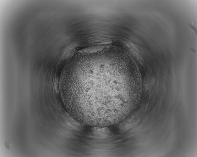 X0000091180185200708161525