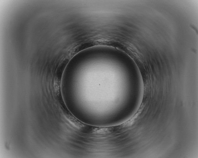 X0000091180186200708161525