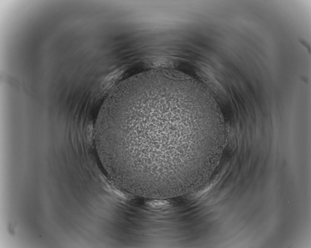 X0000091180189200708161525