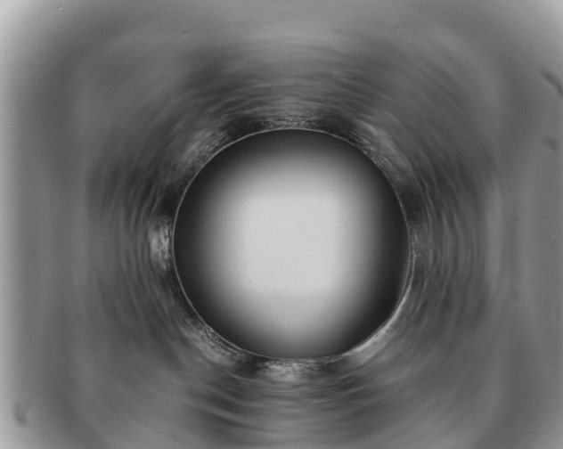 X0000091180190200708161525